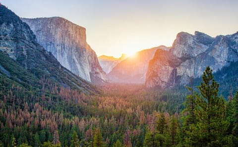 Full Day SUV Tour from San Francisco to Yosemite National Park