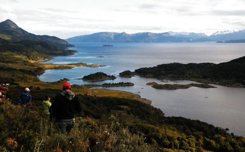 Glacier Cruise from Ushuaia to Punta Arenas with Scenic Stops
