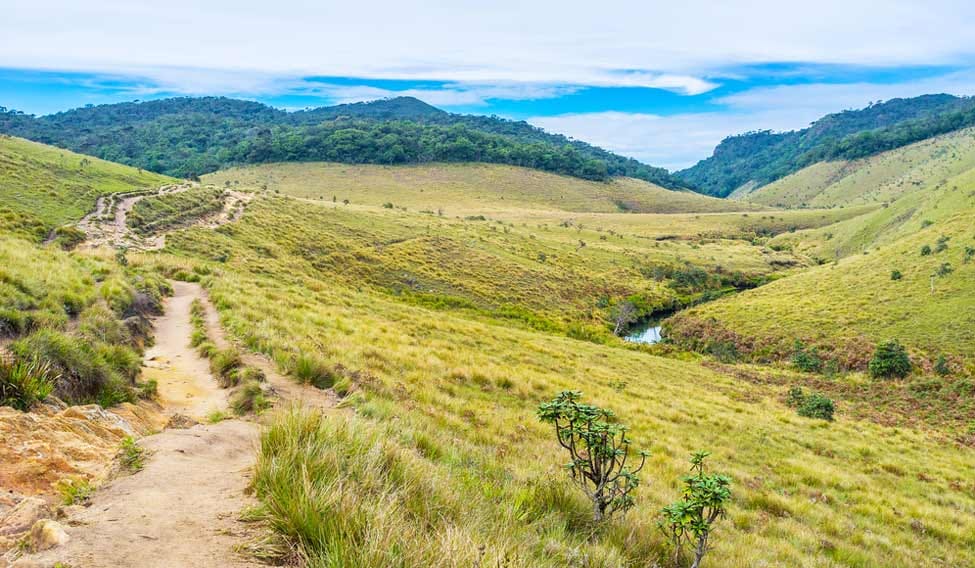 Horton Plains & World's End Trip 3
