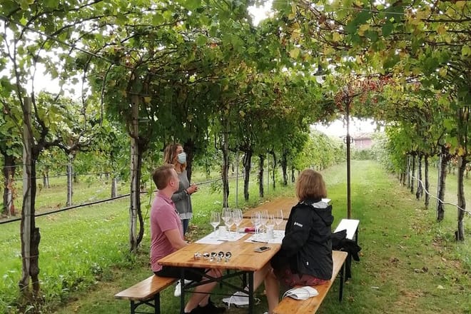 Wine tour & tasting - Prosecco Experience photo 4