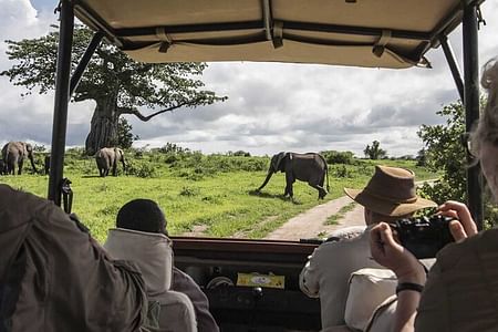 Ngutuni Conservancy Safari Experience from Mombasa Beach