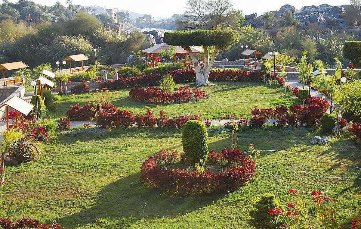 Aswan: The Iconic Botanical Garden & Felucca Ride on the Nile  Private Tour