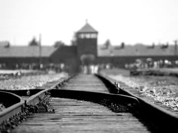 Krakow: Auschwitz-Birkenau Guided Tour with Hotel Transfer