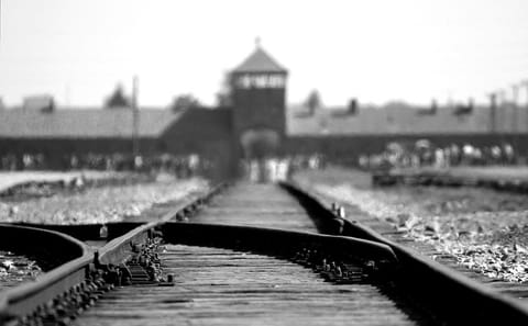 Krakow: Auschwitz-Birkenau Guided Tour with Hotel Transfer