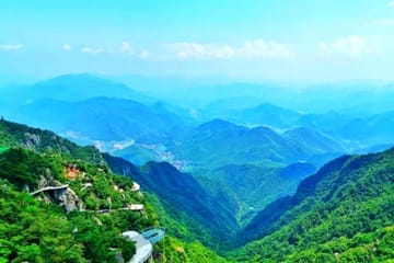 Bamboo Forest Exploration and White Tea Experience from Shanghai