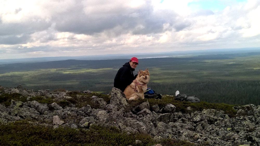 Blick vom Pyhä-Fjell in die Weiten Lapplands