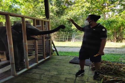 Elephant Sanctuary Tour (SIC)