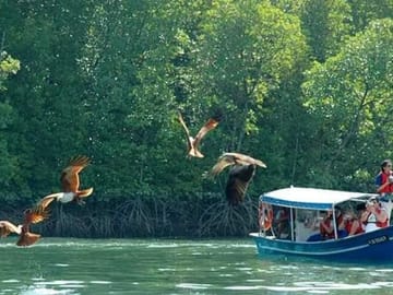 Sharing Half Day Kilim Geoforest Park Mangrove Boat Tour