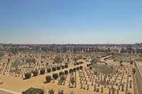 Alexandria : Private El Alamein War Tour from Alexandria 8
