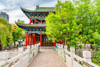 All-Inclusive Private Urumqi Day Tour including Erdaoqiao Market 1