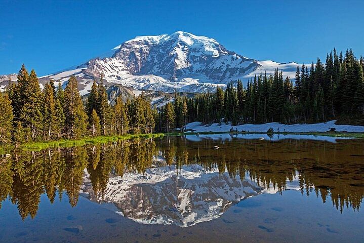 Small Group Tour to Mt. Rainier: Explore Natural Wonders & Scenic Trails