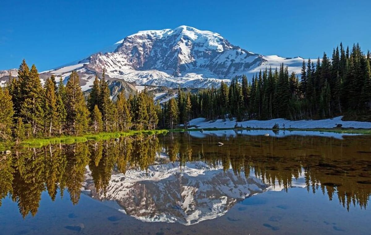 From Portland to Mt. Rainier Tour in a small group