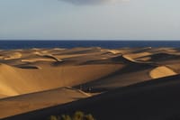Segway Food Tour with Tapas Tasting in South Gran Canaria 3 Hour: Maspalomas Dunes, Playa del Ingles, San Agustín 4