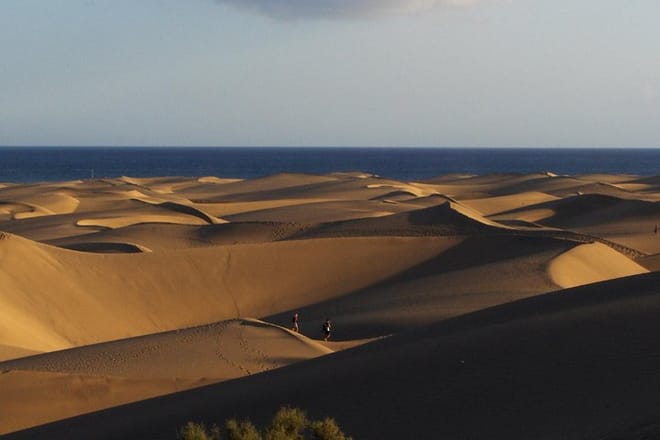 Segway Food Tour with Tapas Tasting in South Gran Canaria 3 Hour: Maspalomas Dunes, Playa del Ingles, San Agustín 4
