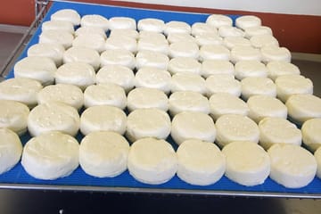 Goat Cheese Tasting and Trekking Adventure in Chitlang
