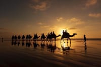 Camel Trekking In Abu Dhabi with Transfer, Fun and More 8