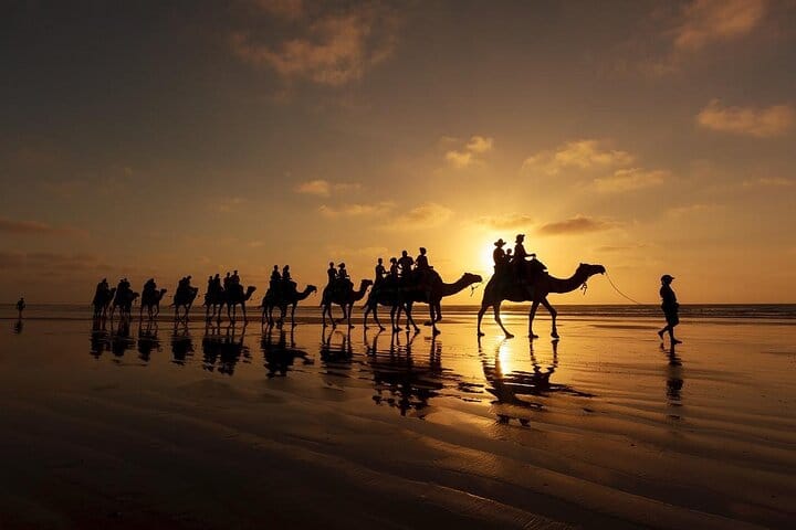 Camel Trekking In Abu Dhabi with Transfer, Fun and More 8
