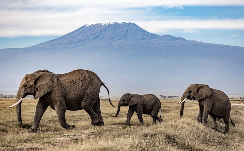 3-Day Adventure Safari in Amboseli National Park, Kenya