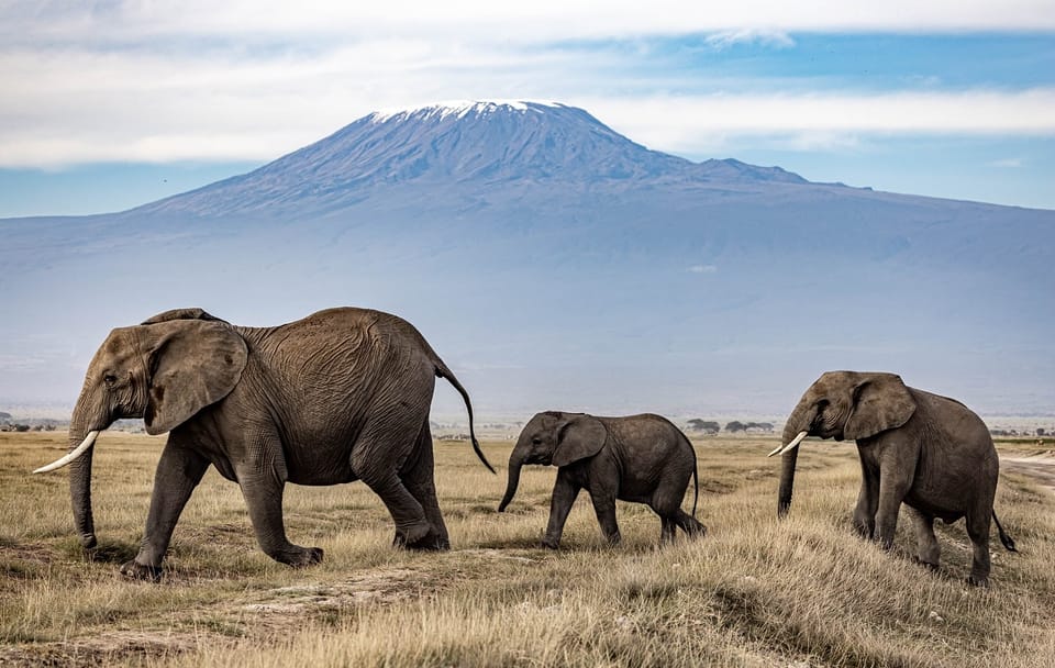 3-Day Adventure Safari in Amboseli National Park, Kenya