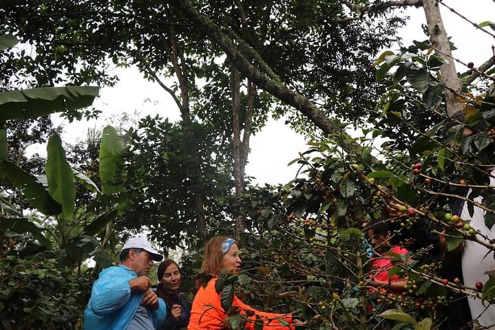 Salkantay Trek 5D/4N - Adventure Hike to Machu Picchu