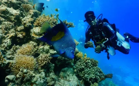 Scuba Diving Trip in Hurghada