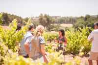 Late-start Montserrat, Food & Wine with Cogwheel Train 9