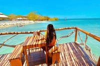  Horseback Riding and Tour from Montego Bay  7