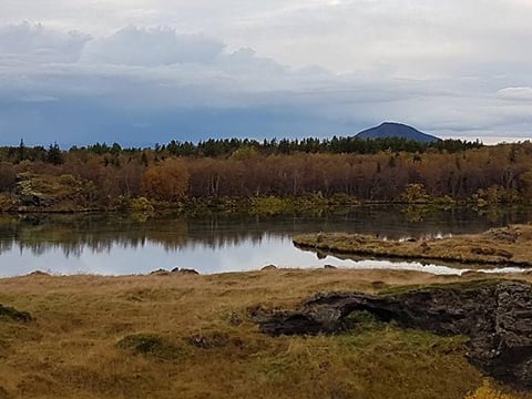 Private Lake Mývatn and Goðafoss Tour, photo 9
