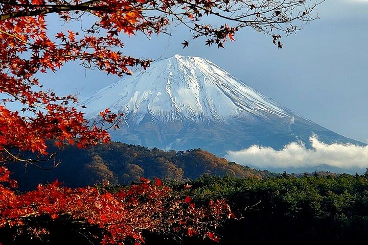 Full Day Private Guided Tour Mt. Fuji and Hakone