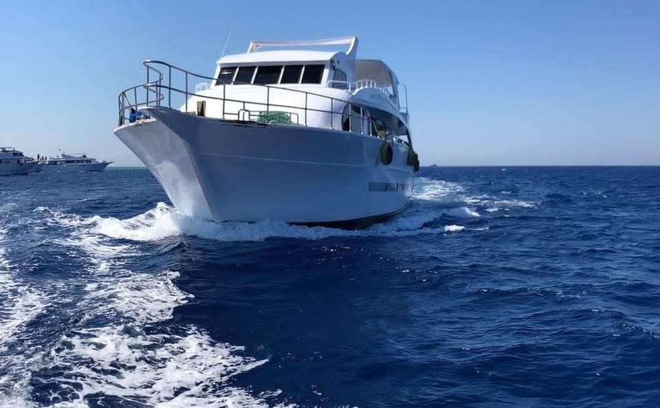 Introductory Diving Experience in Hurghada, Egypt