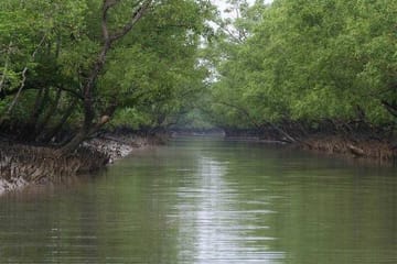 Kolkata City and Sunderban Mangrove Forest Tour