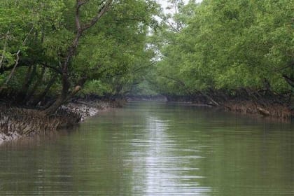 Kolkata & Sunderban Mangrove Forest