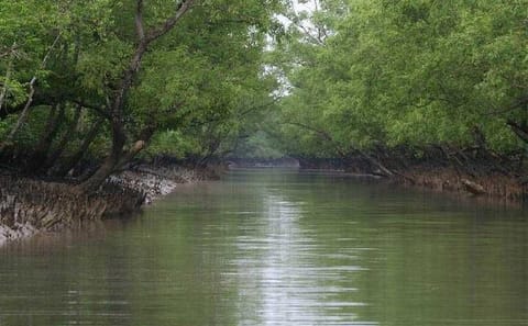 Kolkata City and Sunderban Mangrove Forest Tour
