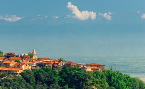 Day Tour of Sighnaghi and Bodbe Monastery with Wine Tasting