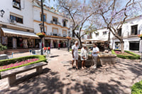 City Walk + Wine and Olive Oil tasting 3