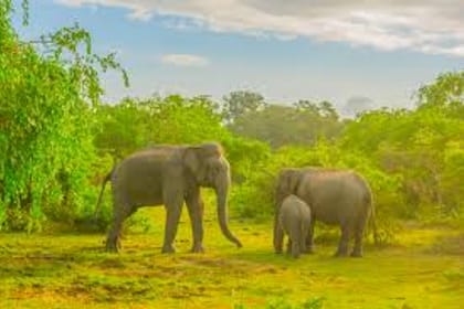 Arugam Bay Beach Explore – 2N/3D