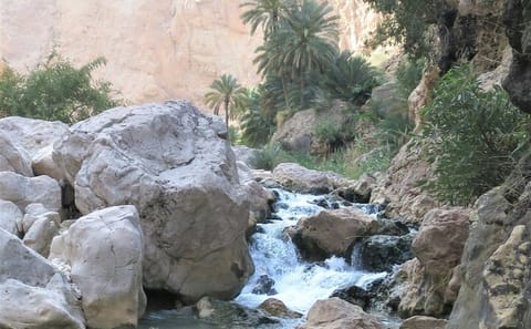 Adventure Tour to Wadi Shab and Bimmah Sinkhole from Muscat