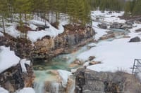 Johnston Canyon, Marble Canyon Icewalk and Banff Town day tour 9