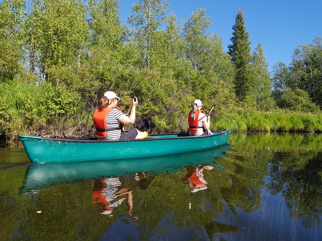 Canoe Tour on the River Pyhäjoki	 photo 6