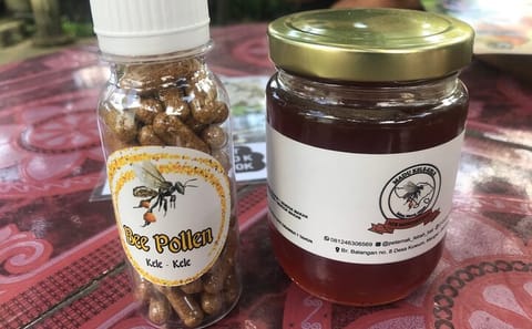 Stingless Bee Honey Farm Tour in Abiansemal, Indonesia