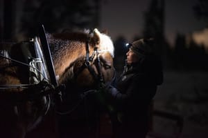 Northern Lights Tour with Finn Horses Sleigh Ride in Lapland