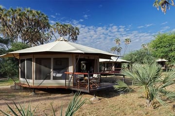 10-Day Big Five Safari Adventure in Laikipia County, Kenya