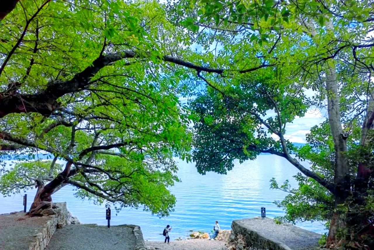 Lakeside streetscape