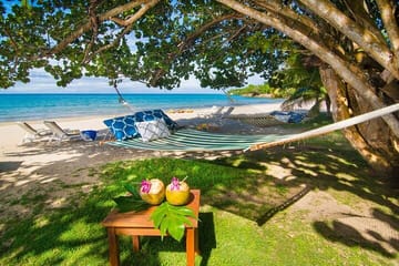 Horseback Riding and River Rapids Adventure in Duncans, Jamaica