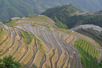 2 Days Classic Guilin Li River and Longji Rice Terraces Tour