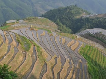 Spring Terraces