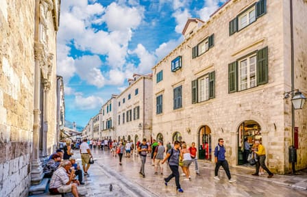 Dubrovnik History and Scenery City Tour from Pile Gate