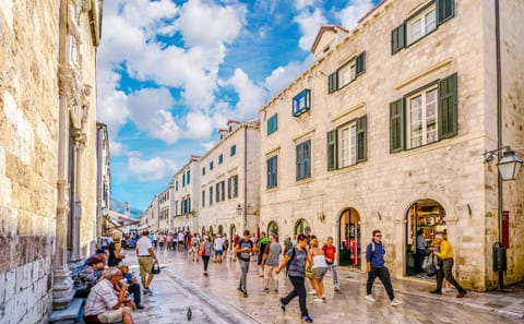 Dubrovnik History and Scenery City Tour from Pile Gate