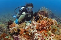 Diving and Snorkeling Day Trip By VIP Boat From Hurghada 5
