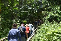 4 Day Trip To Pacaya Samiria In Iquitos 8